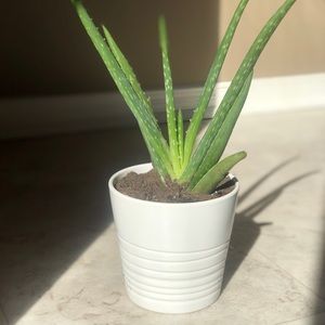 Meet your Posher, Carla